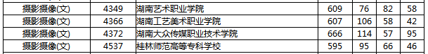 湖南省2019年普通高校招生高職?？婆谝淮握骷驹竿稒n分?jǐn)?shù)線（攝影攝像（文））.png