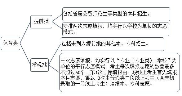 各批次志愿设置及填报.png