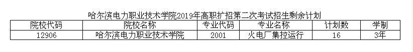 哈爾濱電力職業(yè)技術(shù)學(xué)院2019年高職擴(kuò)招第二次考試招生剩余計(jì)劃.jpg