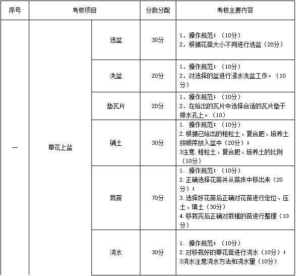 主要考核内容、分数分配.png