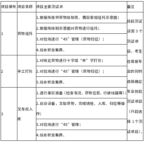 测试项目及主要测试点